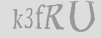 Validation Image